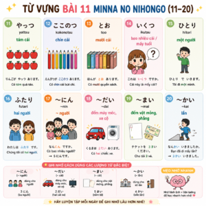 tuvungbai11 11 20