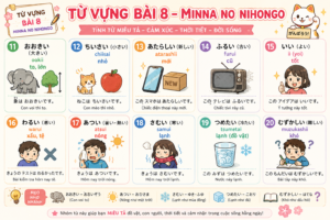 tuvungbai8 11 20